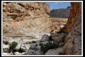 Oman (46).jpg